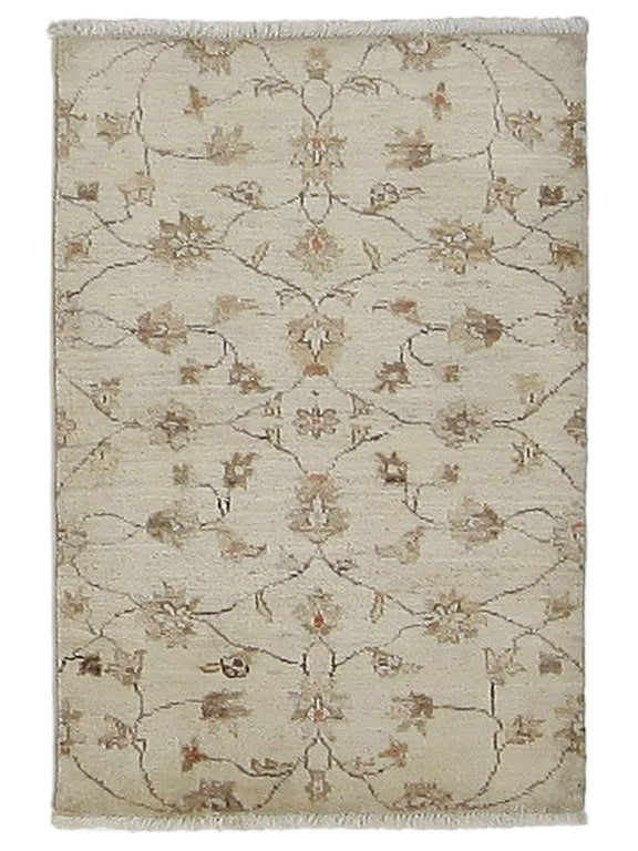 Pacific Ziegler  Ivory Ivory Transitional