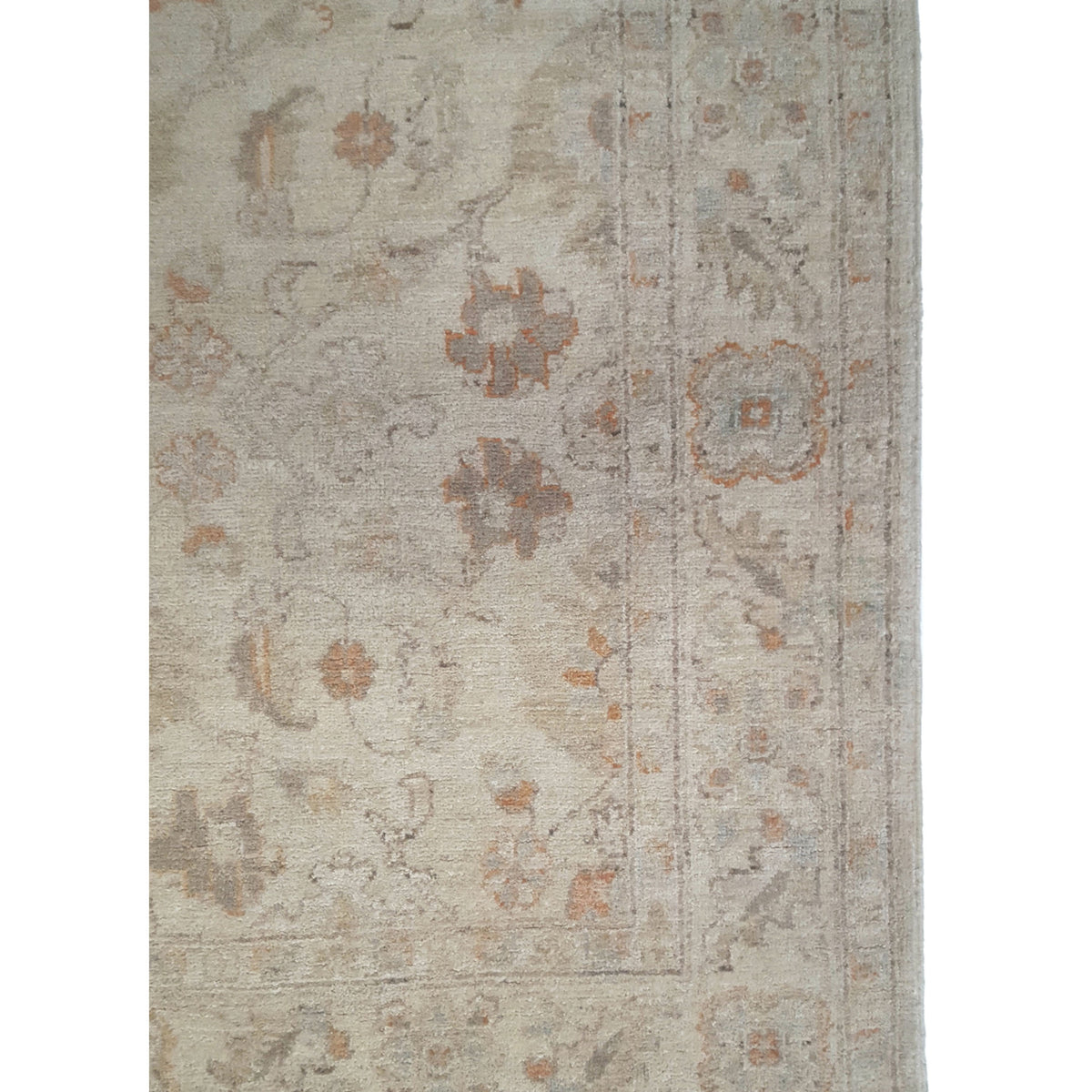Pacific Ziegler 39827 Ivory Ivory Transitional Hand Knotted Rug
