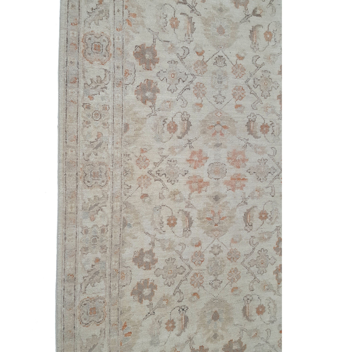 Pacific Ziegler 39827 Ivory Ivory Transitional Hand Knotted Rug