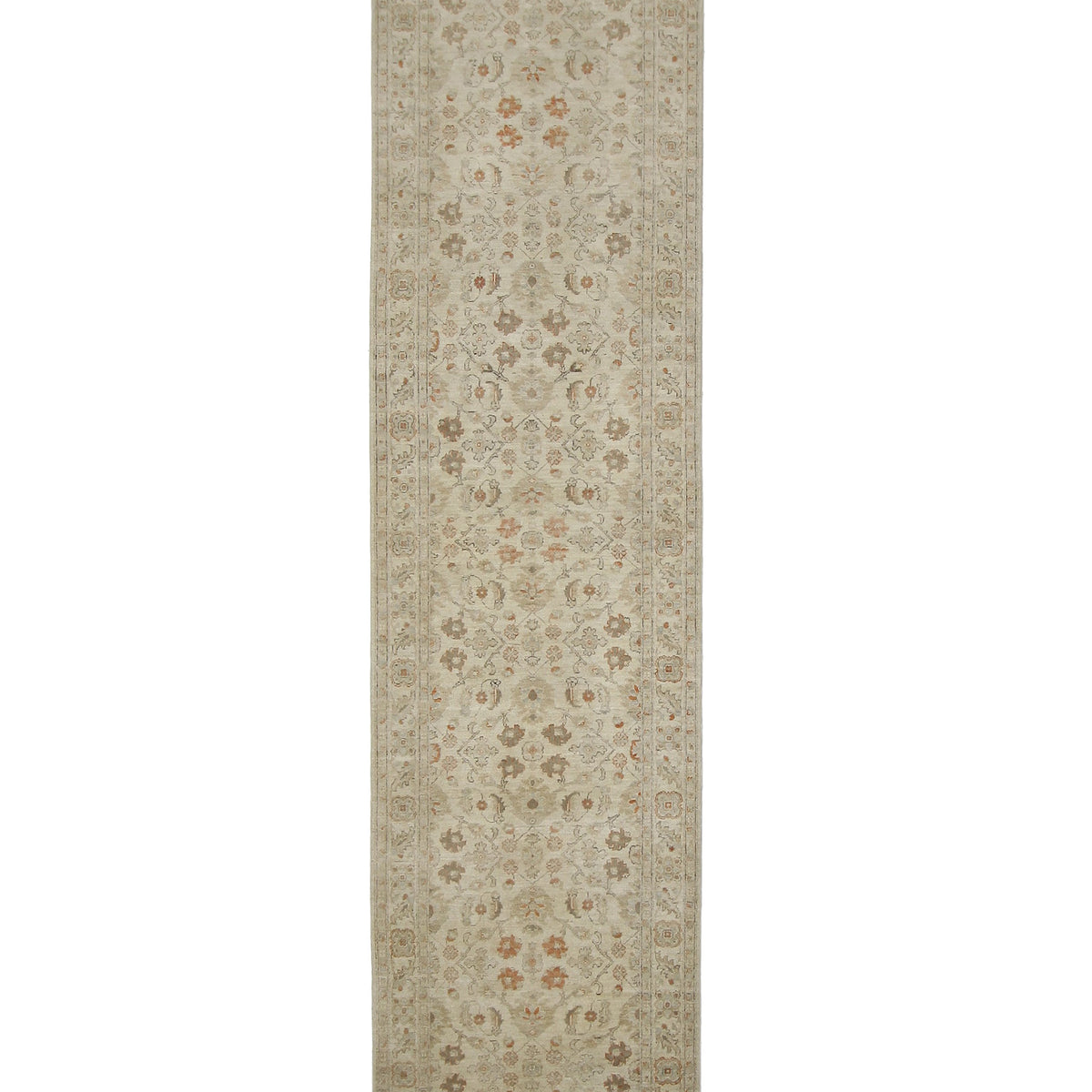 Pacific Ziegler  Ivory Ivory Transitional