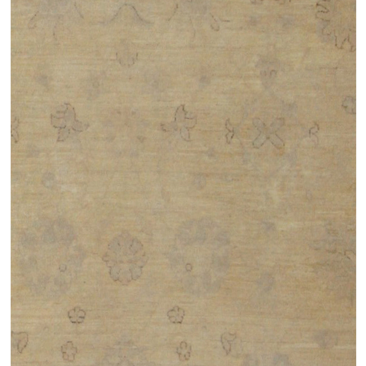 Pacific Ziegler 39962 Ivory Ivory Transitional Hand Knotted Rug