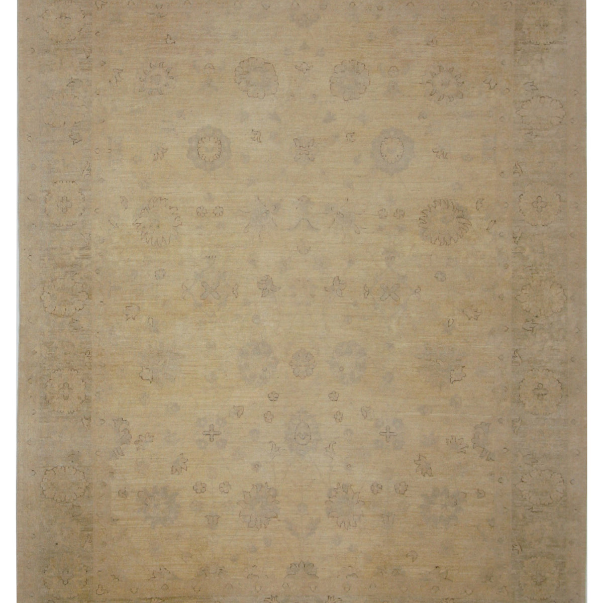Pacific Ziegler  Ivory Ivory Transitional