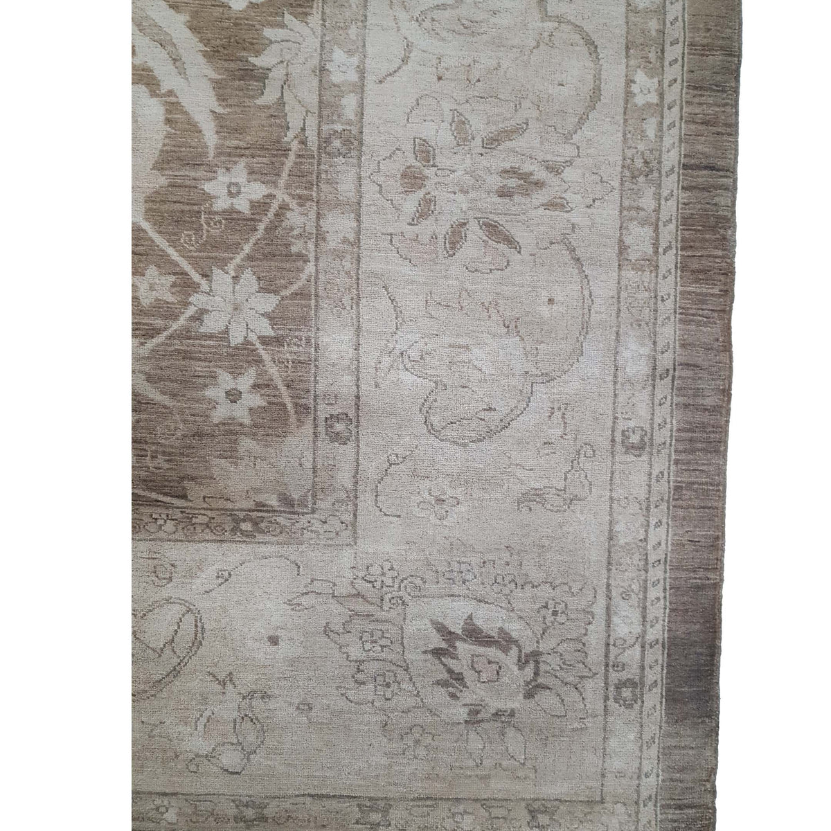 Pacific Ziegler 40055 Brown Gold Transitional Hand Knotted Rug
