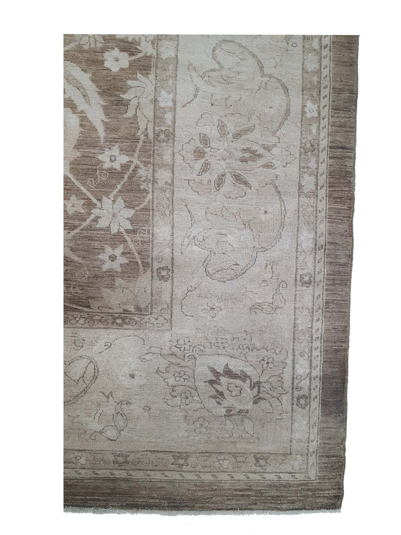 Pacific Ziegler 40055 Brown Gold Transitional Hand Knotted Rug