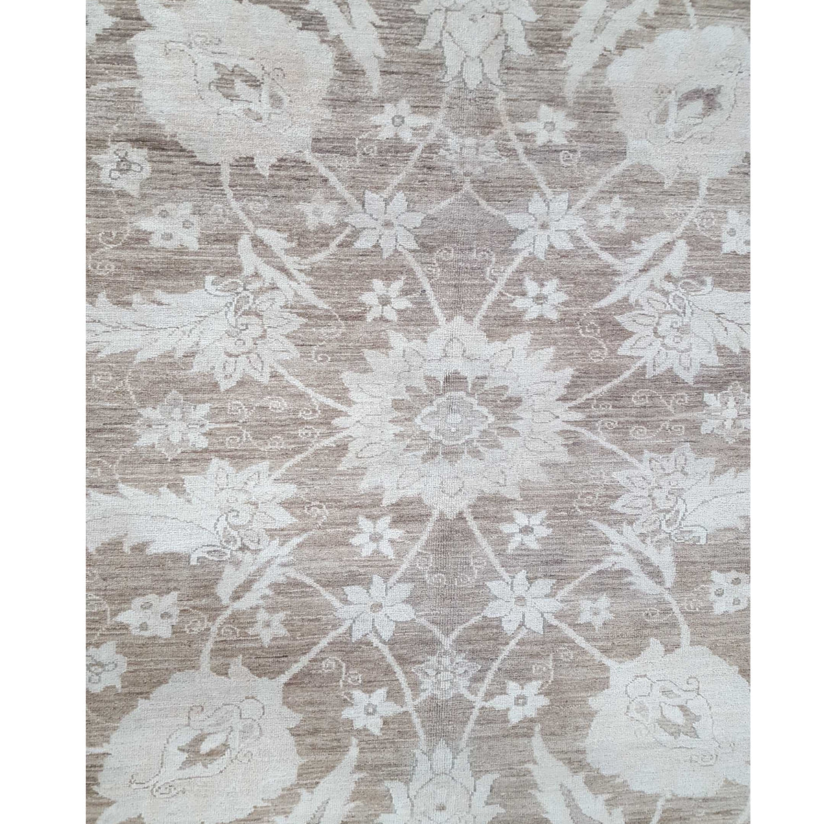 Pacific Ziegler 40055 Brown Gold Transitional Hand Knotted Rug