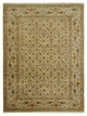 Pacific Maharaja  Ivory Ivory Traditional