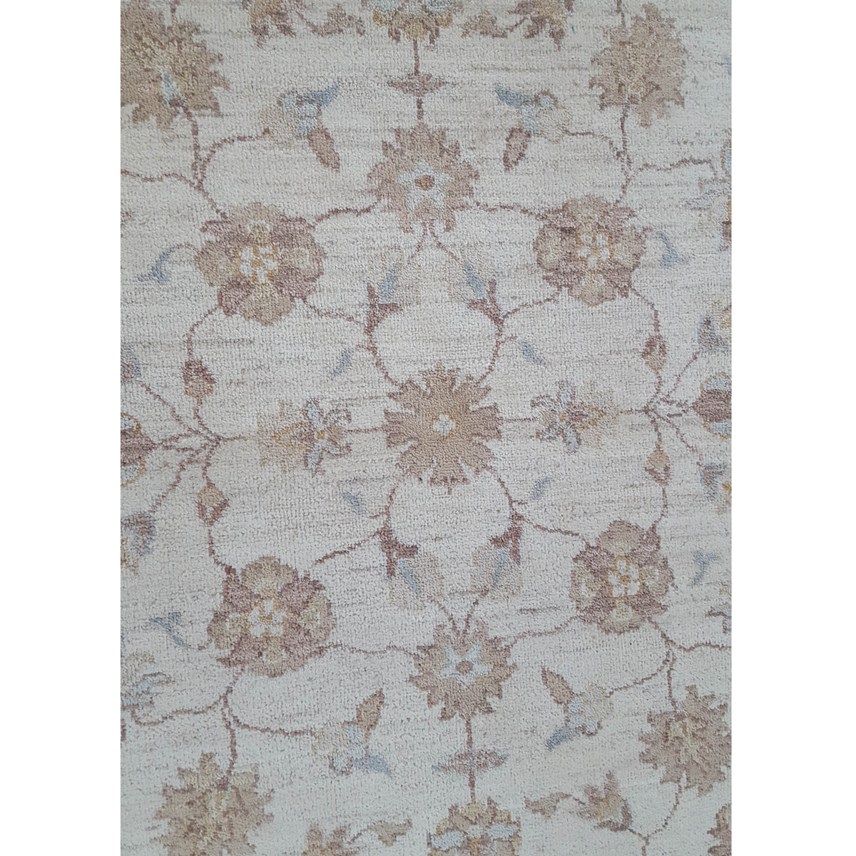 Pacific Ziegler 40565 Ivory Ivory Transitional Hand Knotted Rug