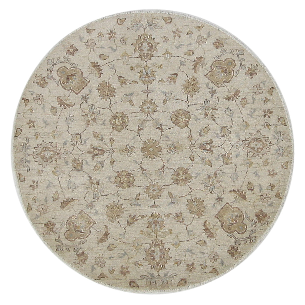 Pacific Ziegler  Ivory Ivory Transitional