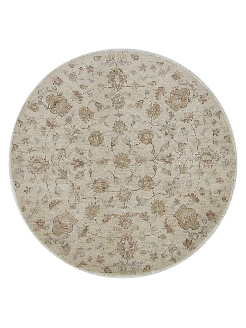Pacific Ziegler  Ivory Ivory Transitional