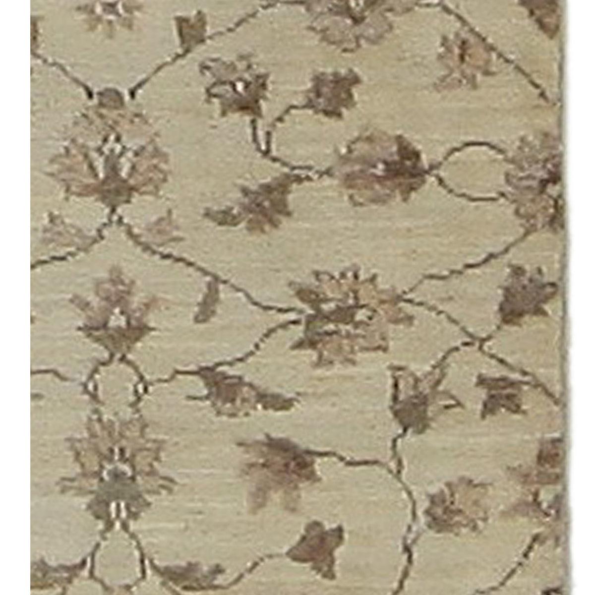 Pacific Ziegler 40599 Ivory Ivory Transitional Hand Knotted Rug