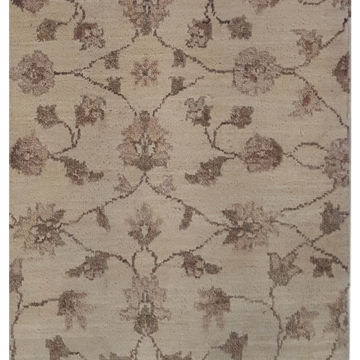 Pacific Ziegler 40601 Ivory Ivory Transitional Hand Knotted Rug