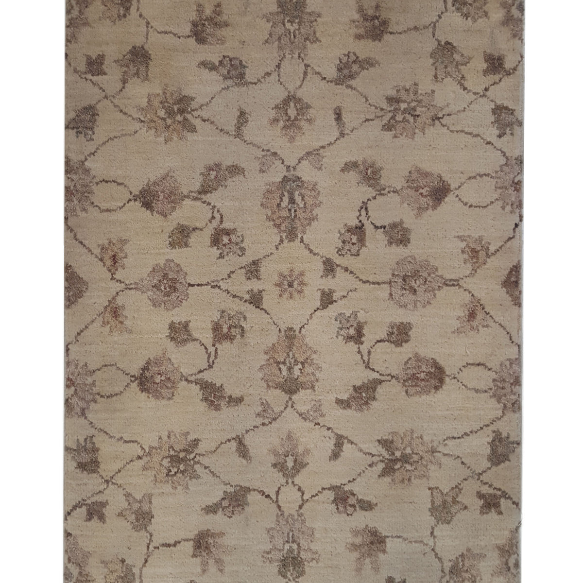 Pacific Ziegler  Ivory Ivory Transitional