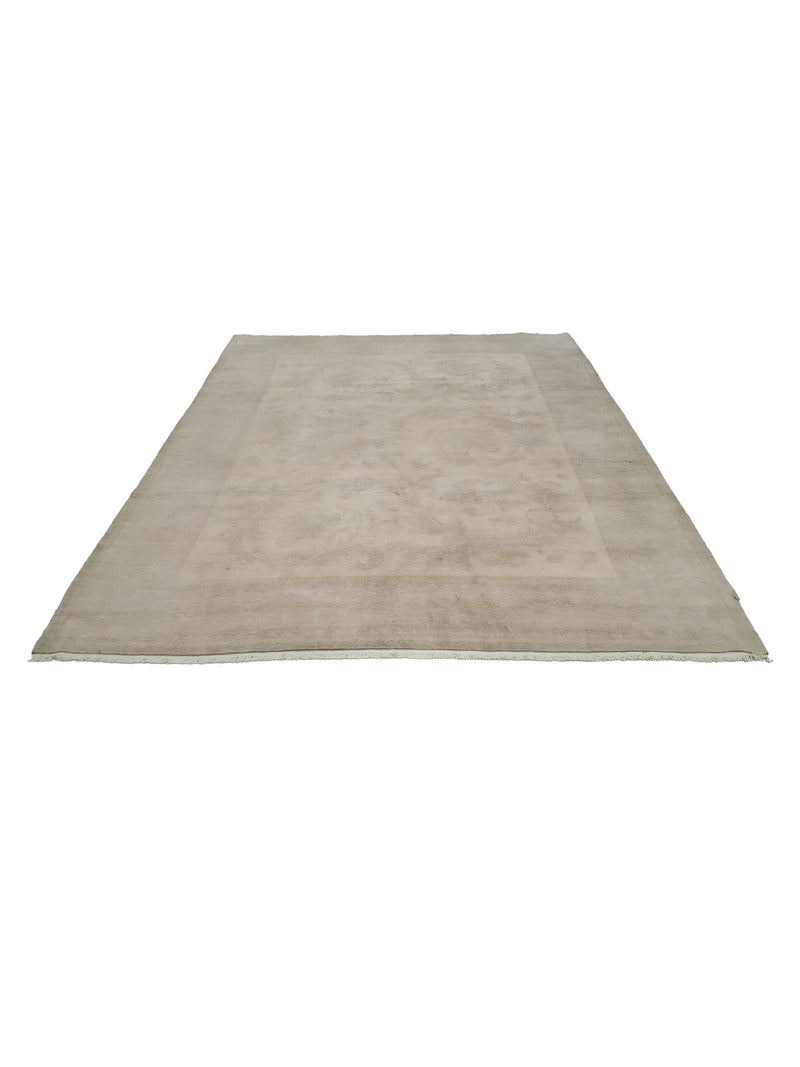 Pacific Nepalese 40644 Beige Beige Transitional Hand Knotted Rug
