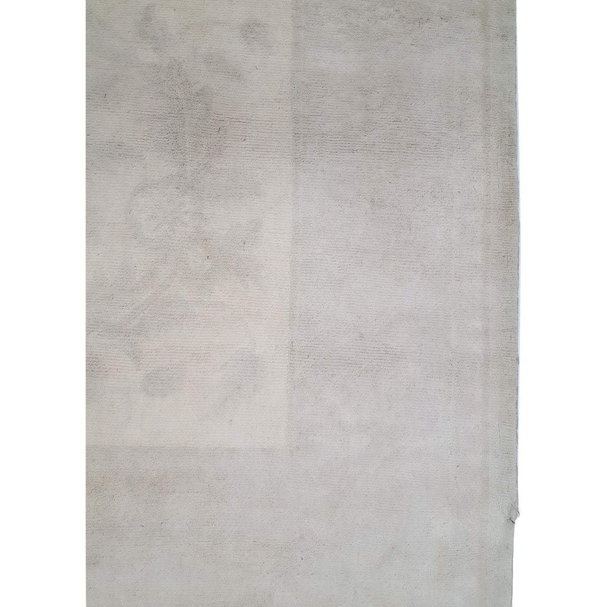 Pacific Nepalese 40644 Beige Beige Transitional Hand Knotted Rug