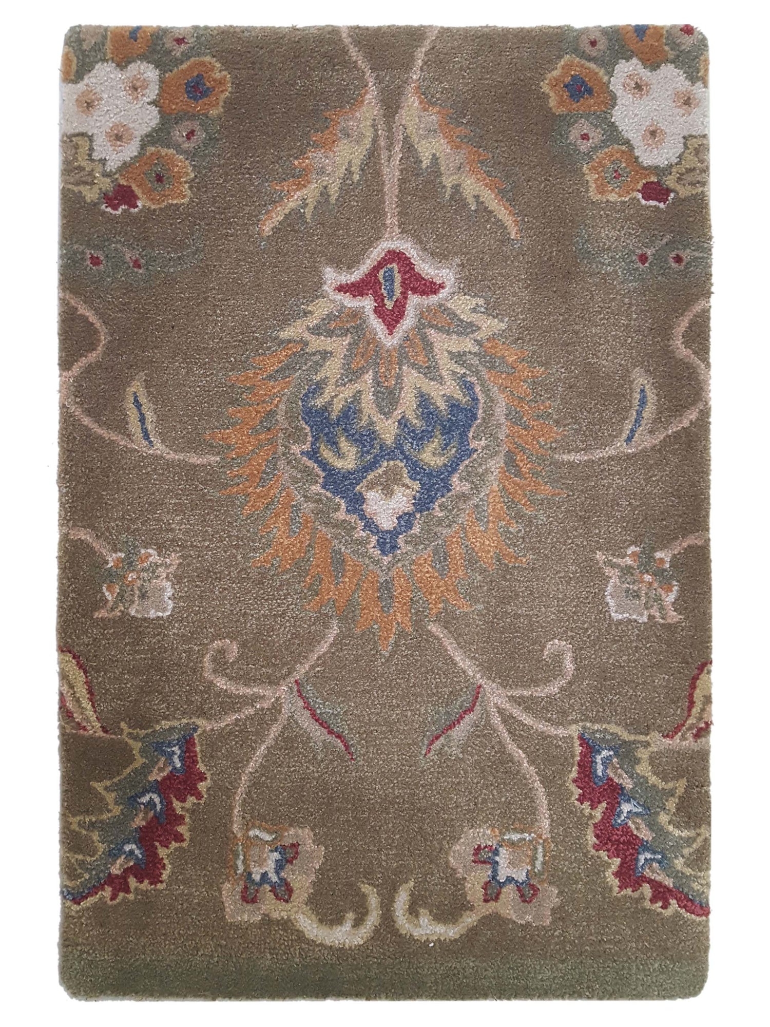 Aira Tempest  Brown Brown Transitional