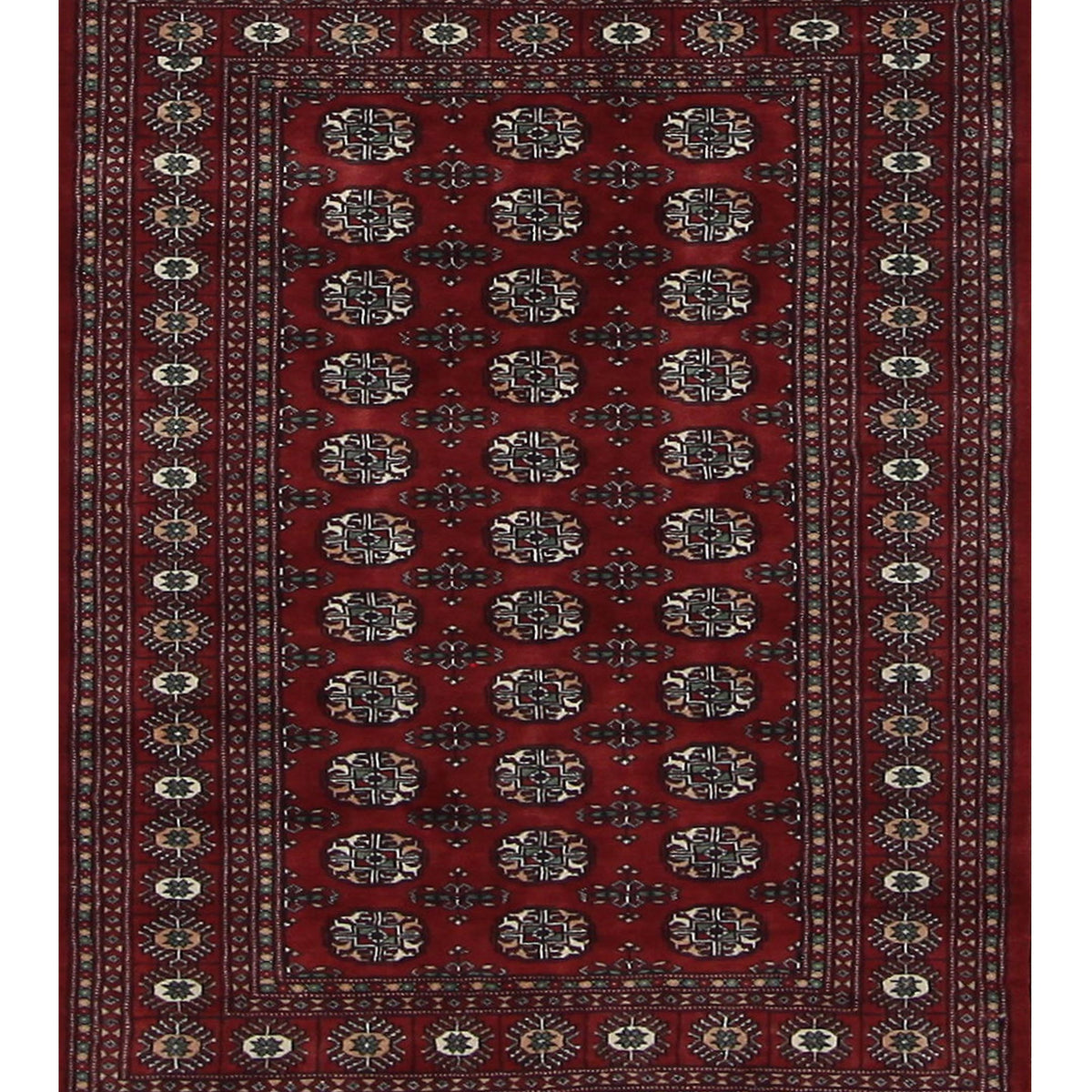 Pacific Bokhara  Red Red Traditional