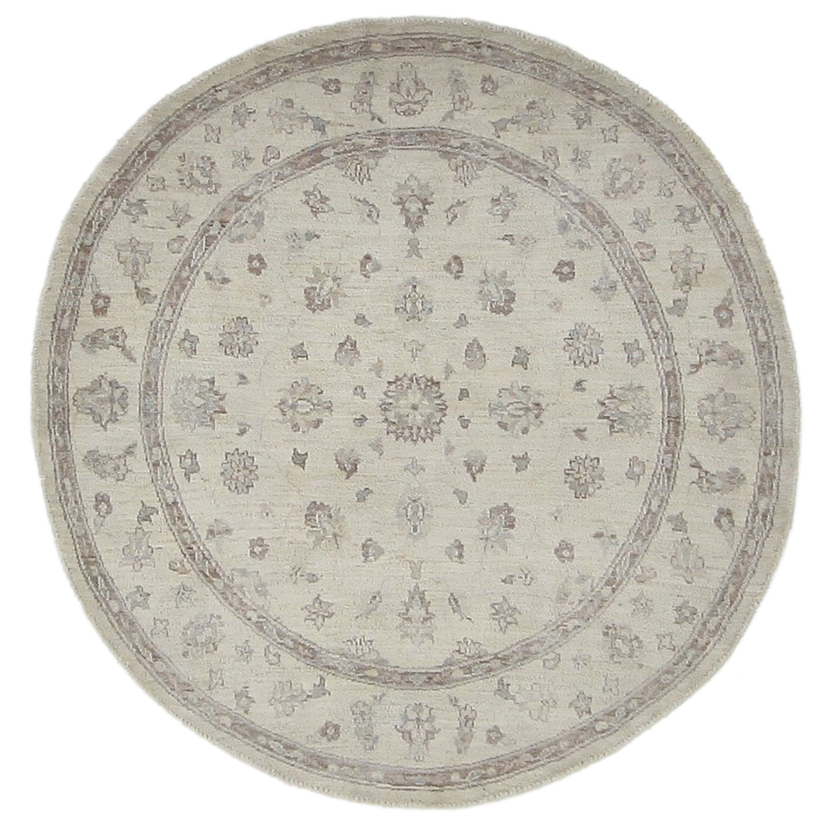 Pacific Ziegler  Ivory Ivory Transitional