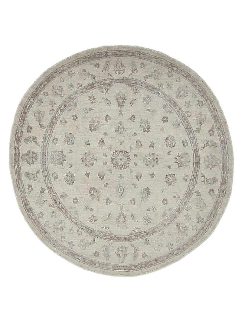 Pacific Ziegler  Ivory Ivory Transitional