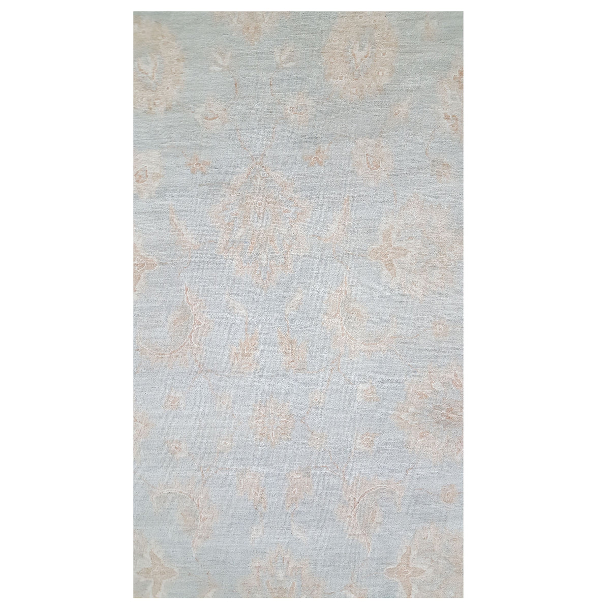 Pacific Ziegler 41523 Lt.Blue Ivory Transitional Hand Knotted Rug
