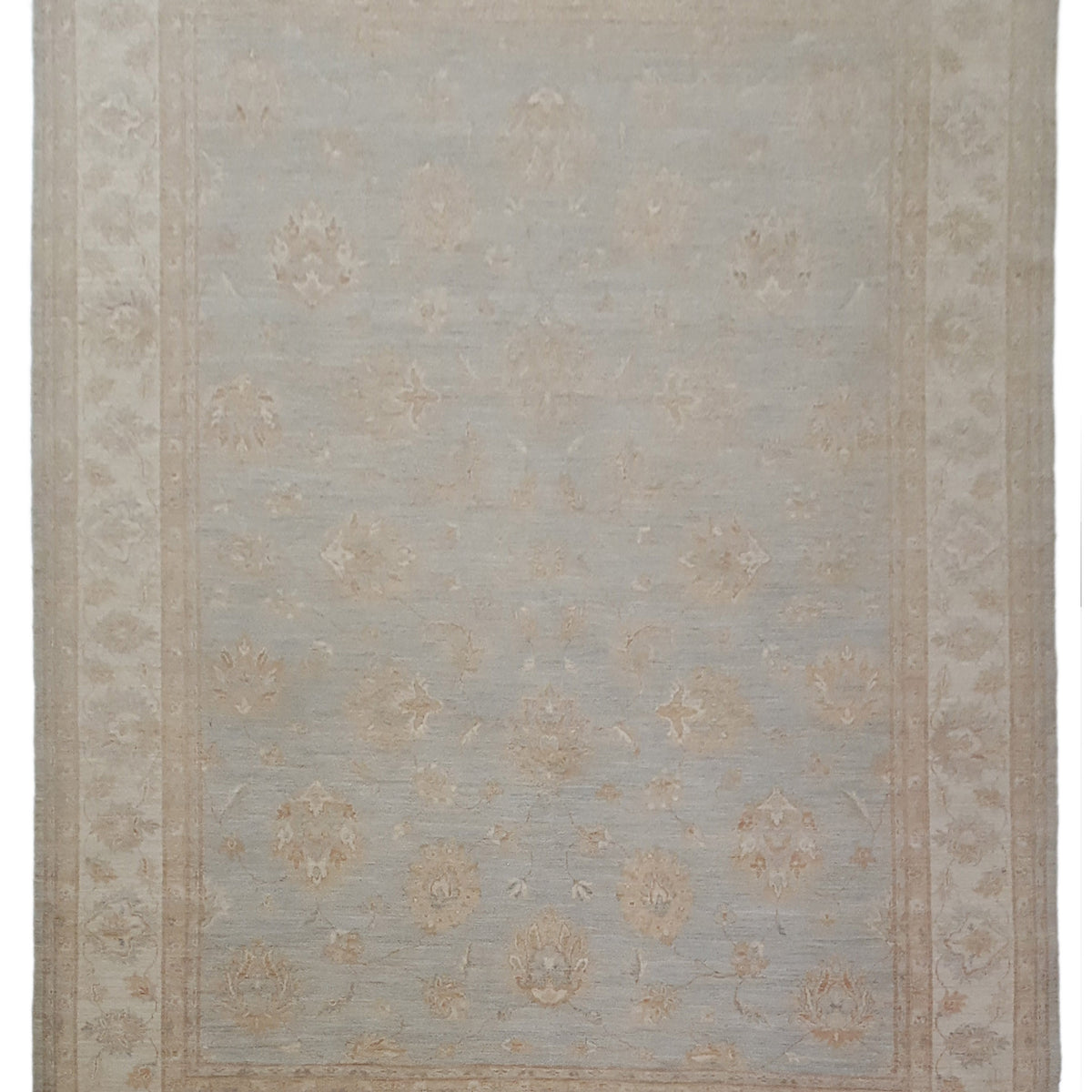 Pacific Ziegler  Lt.Blue Ivory Transitional