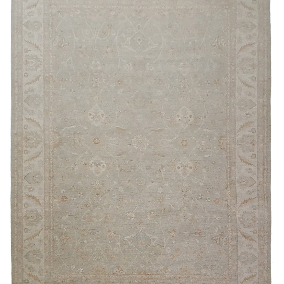 Pacific Ziegler  Lt.Blue Ivory Transitional