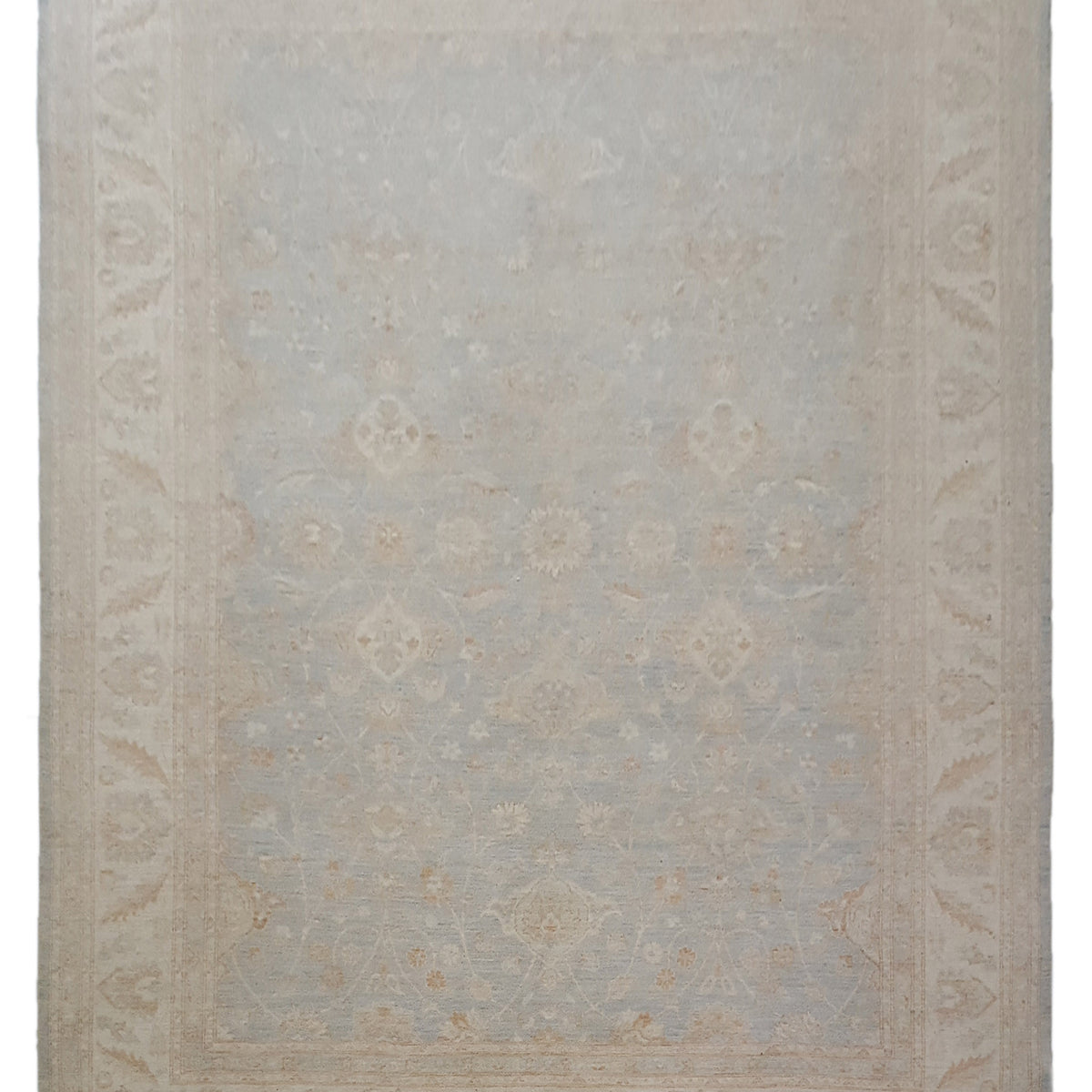 Pacific Ziegler  Lt.Blue Ivory Transitional