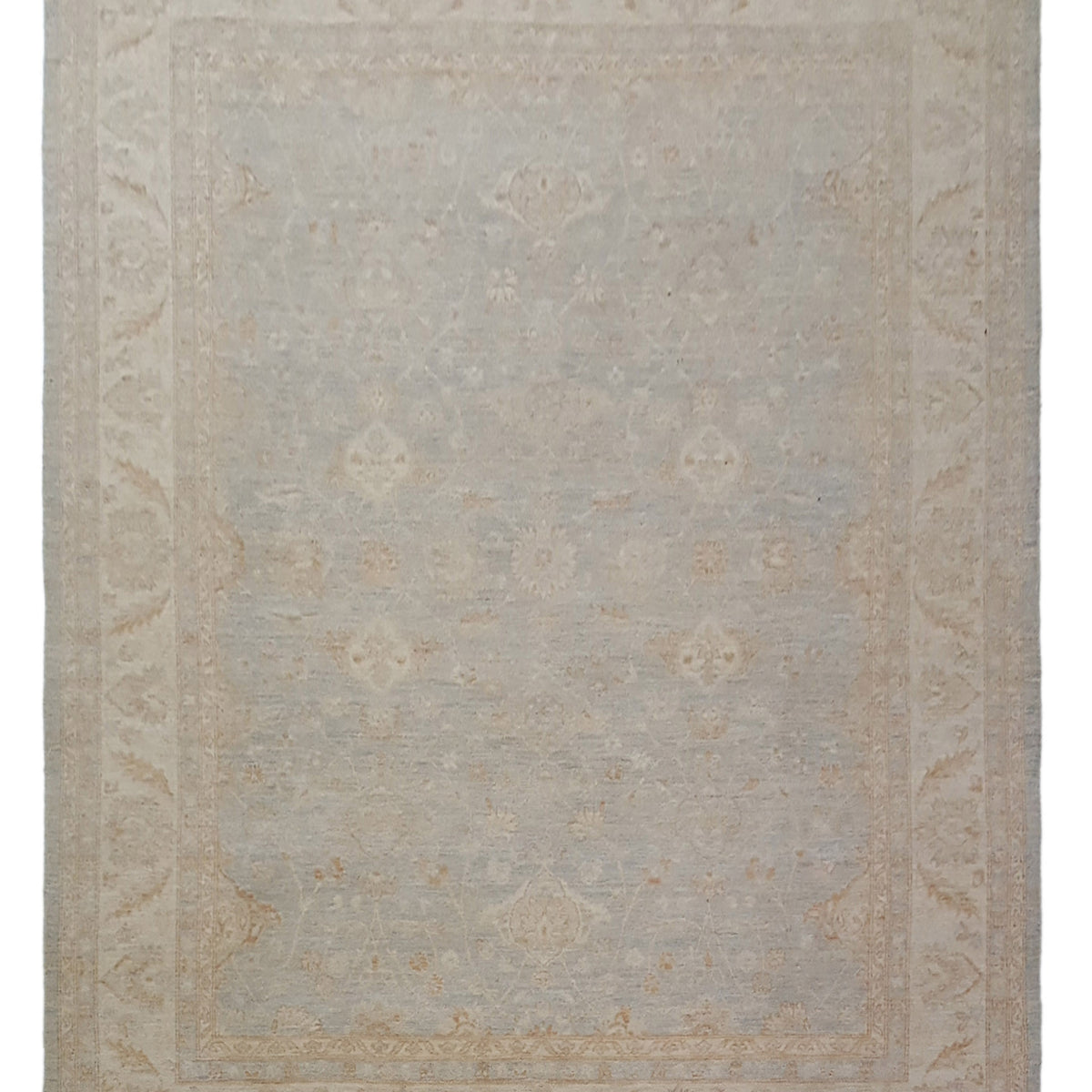 Pacific Ziegler  Lt.Blue Ivory Transitional