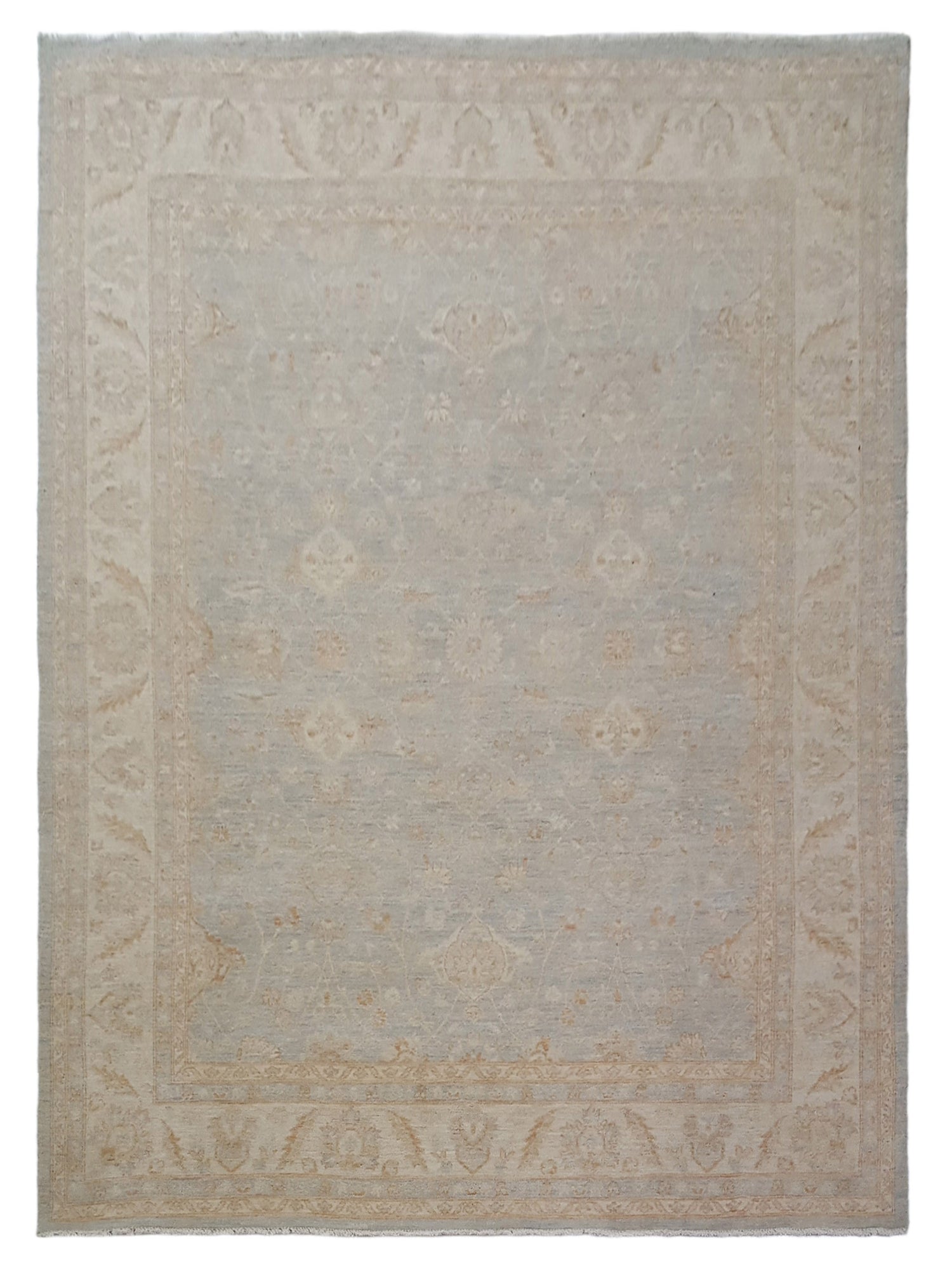 Pacific Ziegler  Lt.Blue Ivory Transitional