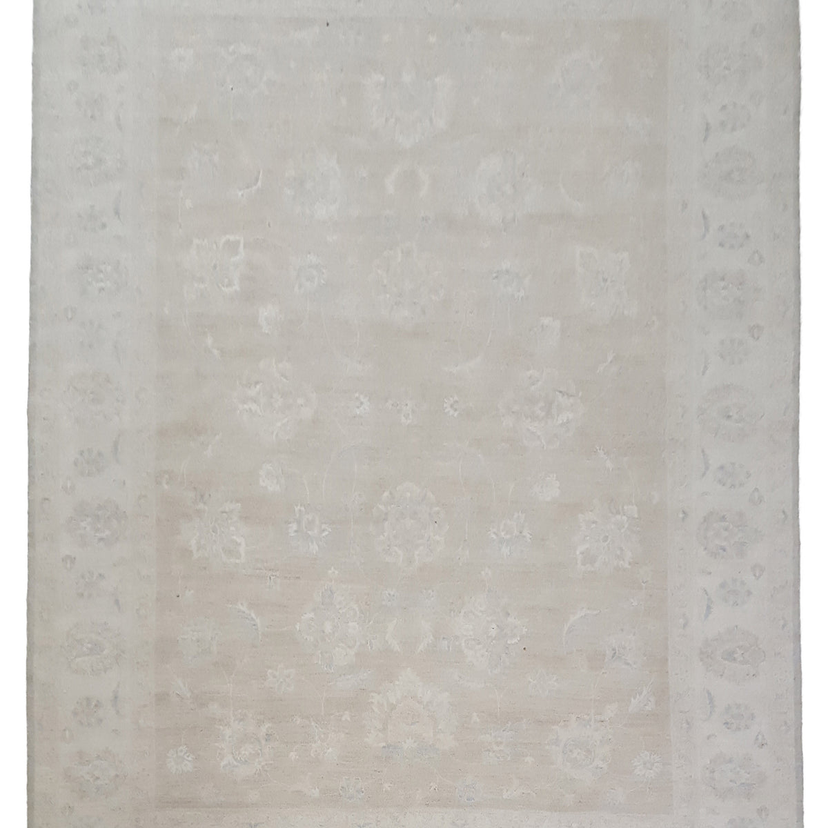 Pacific Ziegler  Lt.Grey Ivory Transitional