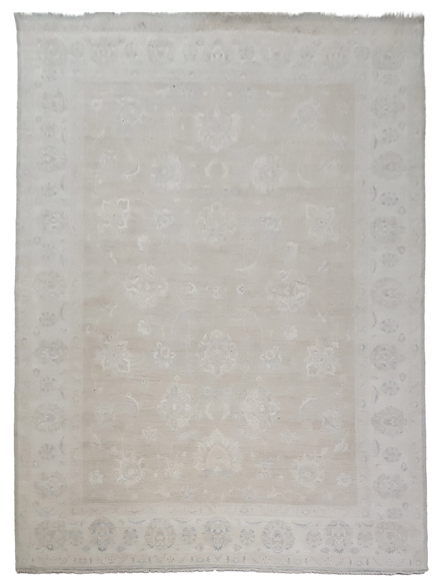 Pacific Ziegler  Lt.Grey Ivory Transitional