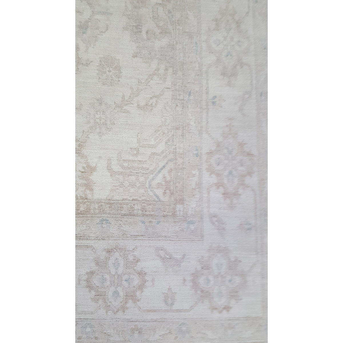 Pacific Ziegler 41662 Ivory Ivory Transitional Hand Knotted Rug
