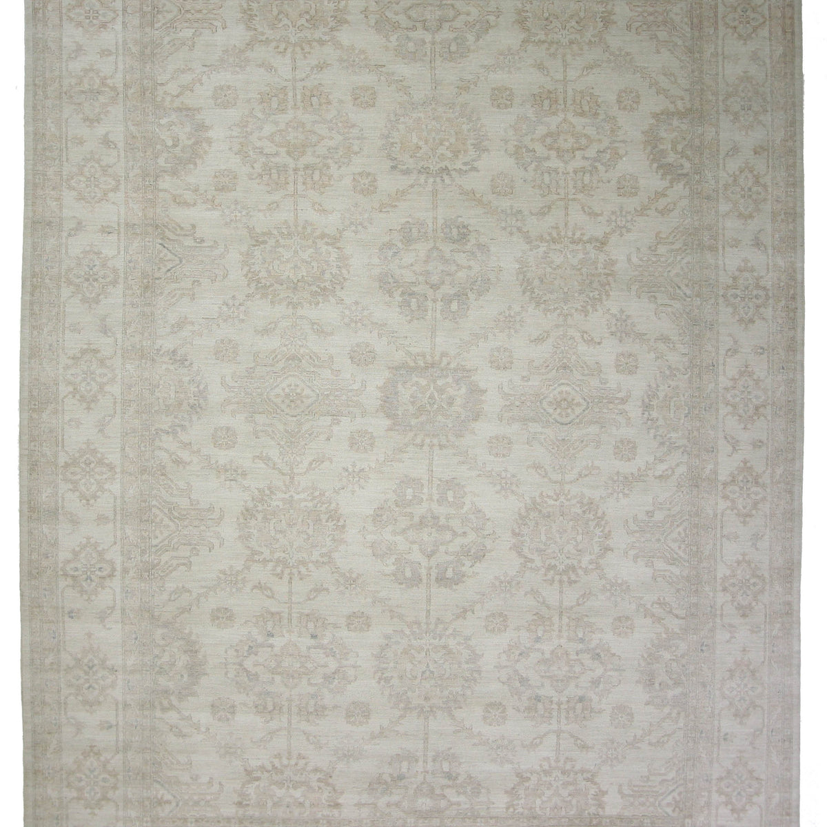 Pacific Ziegler  Ivory Ivory Transitional