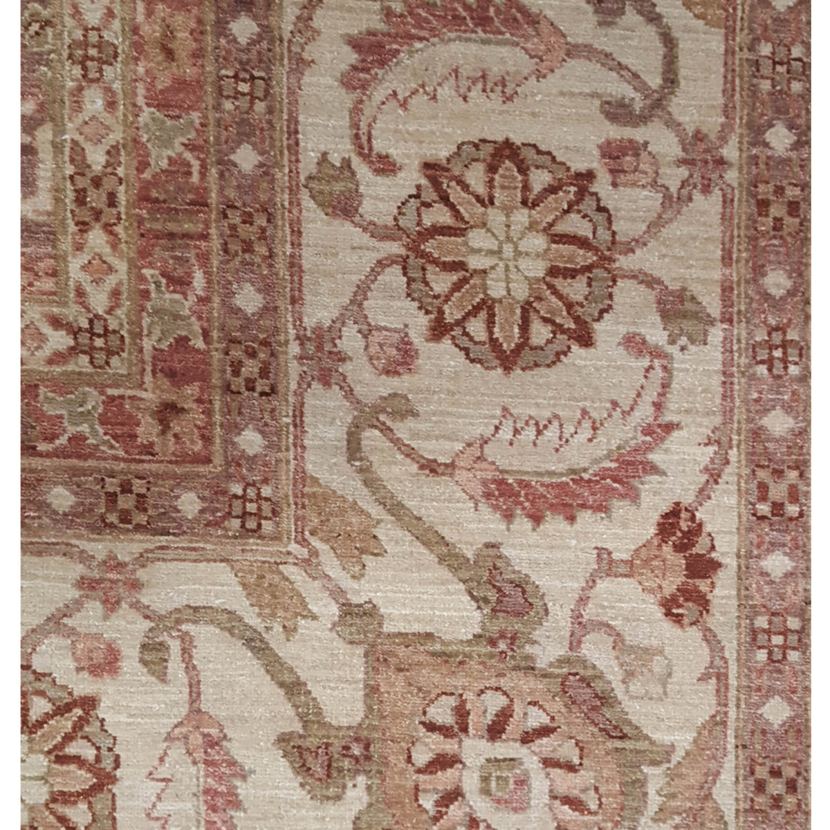 Pacific Ziegler 41760 Aubergine Beige Transitional Hand Knotted Rug