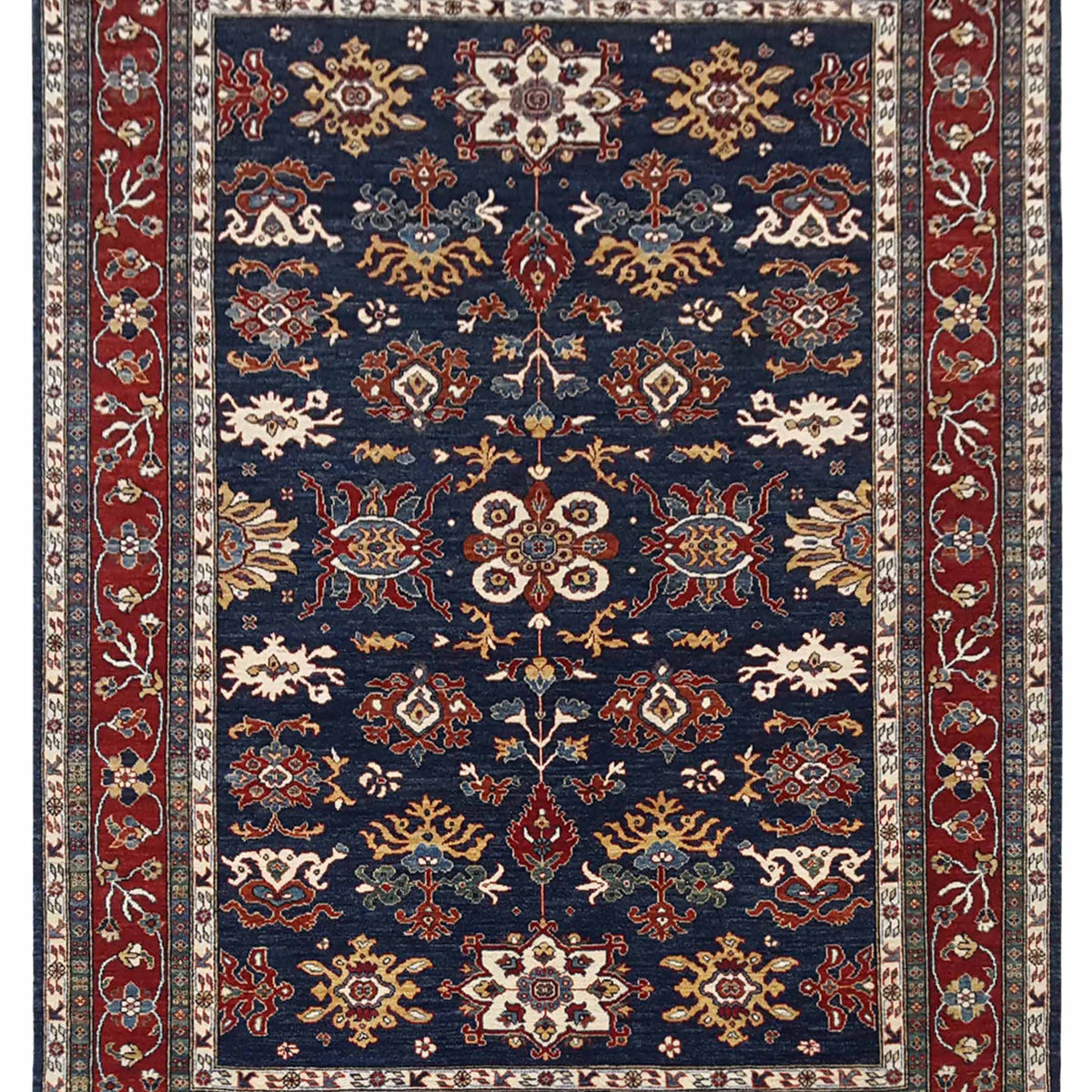 Pacific Ziegler  Navy Red Transitional