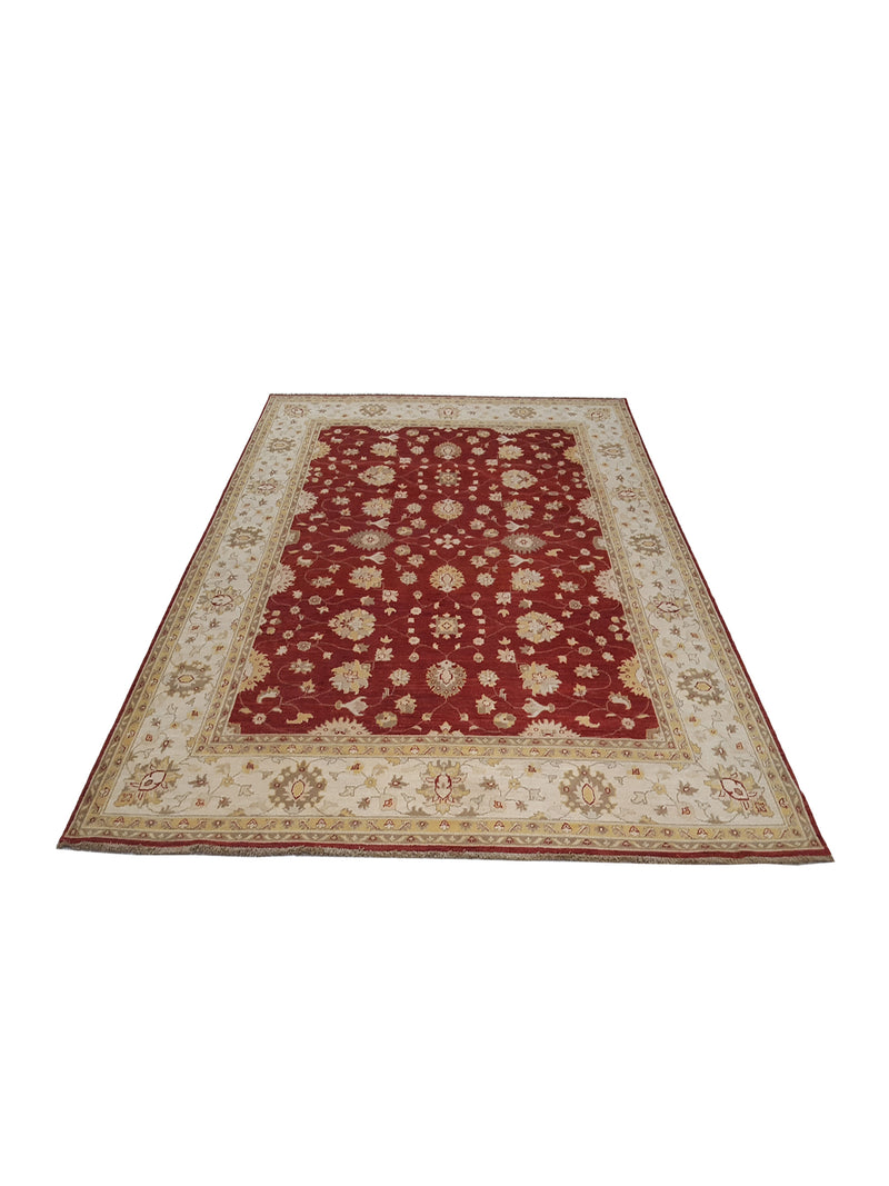 Pacific Ziegler 41884 Red Ivory Transitional Hand Knotted Rug