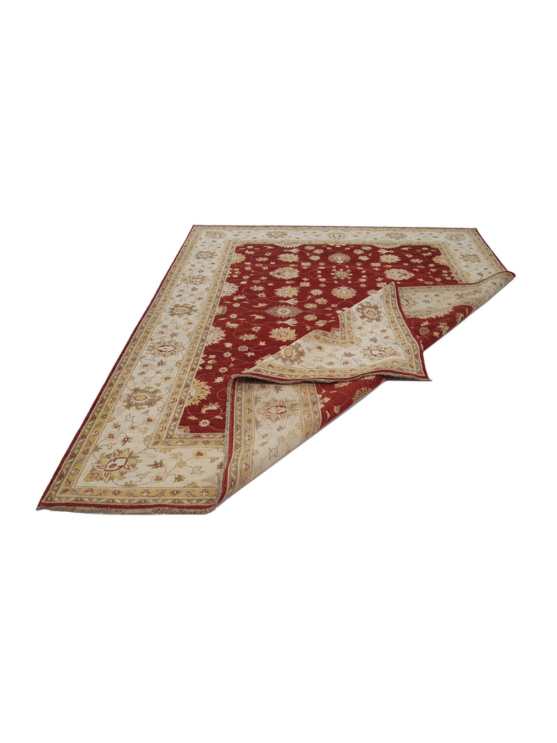 Pacific Ziegler 41884 Red Ivory Transitional Hand Knotted Rug