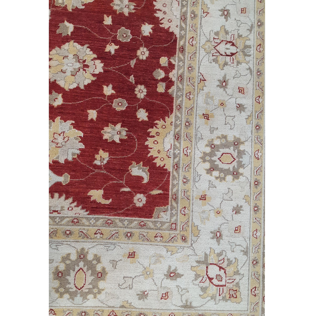 Pacific Ziegler 41884 Red Ivory Transitional Hand Knotted Rug