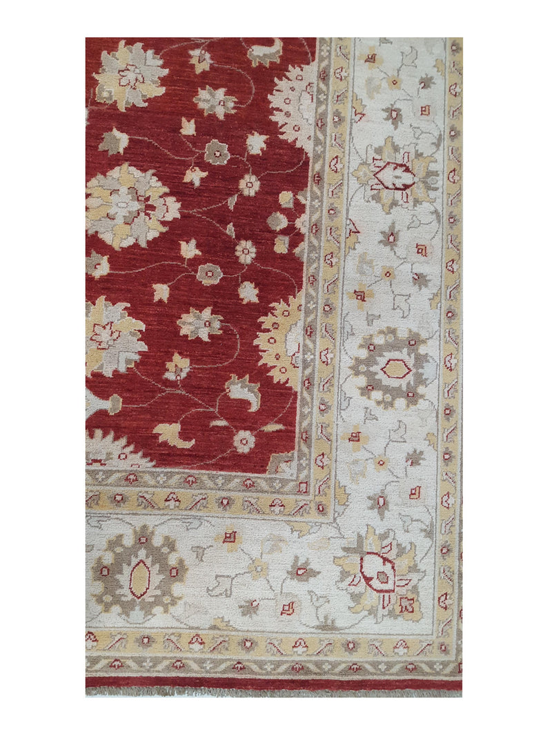 Pacific Ziegler 41884 Red Ivory Transitional Hand Knotted Rug