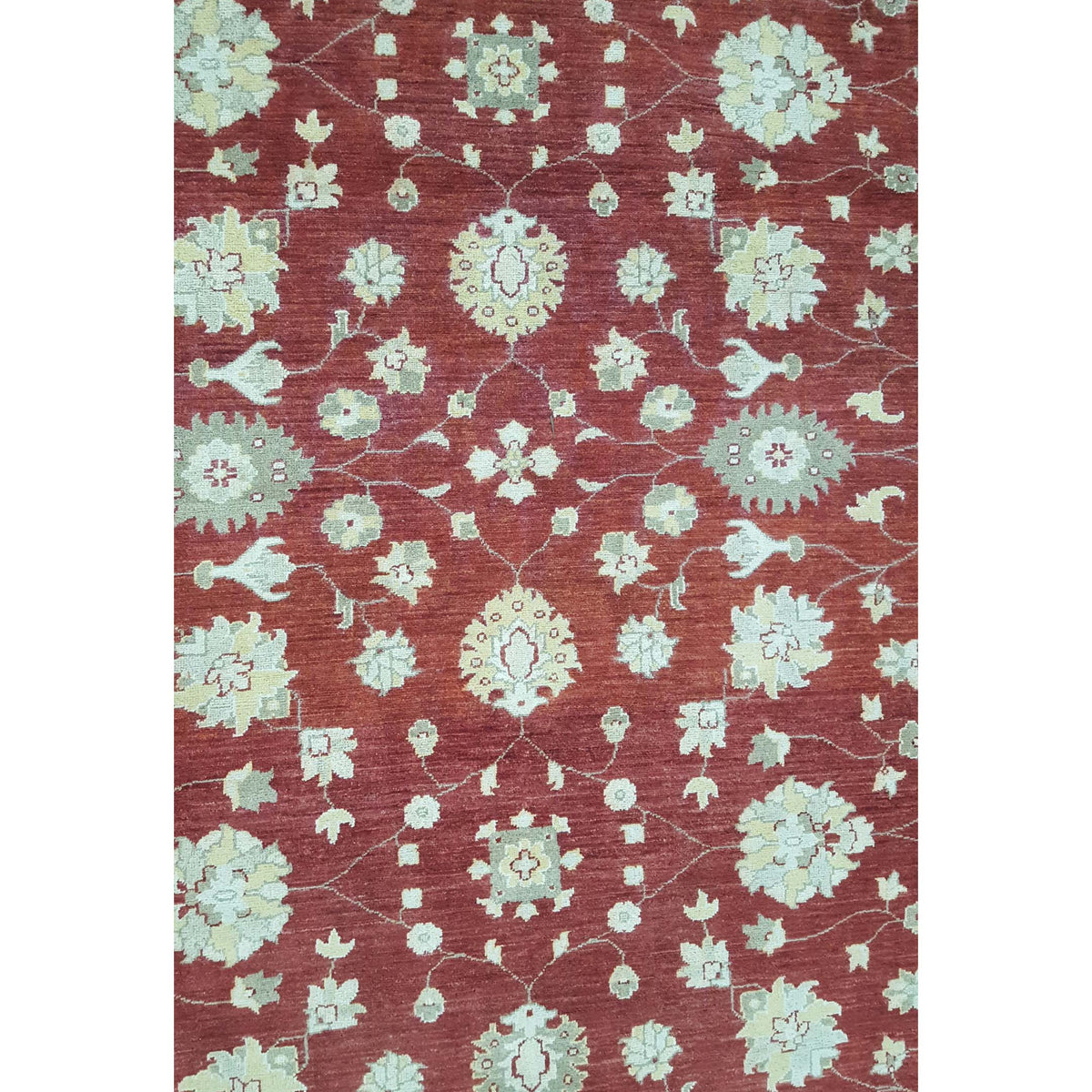 Pacific Ziegler 41884 Red Ivory Transitional Hand Knotted Rug