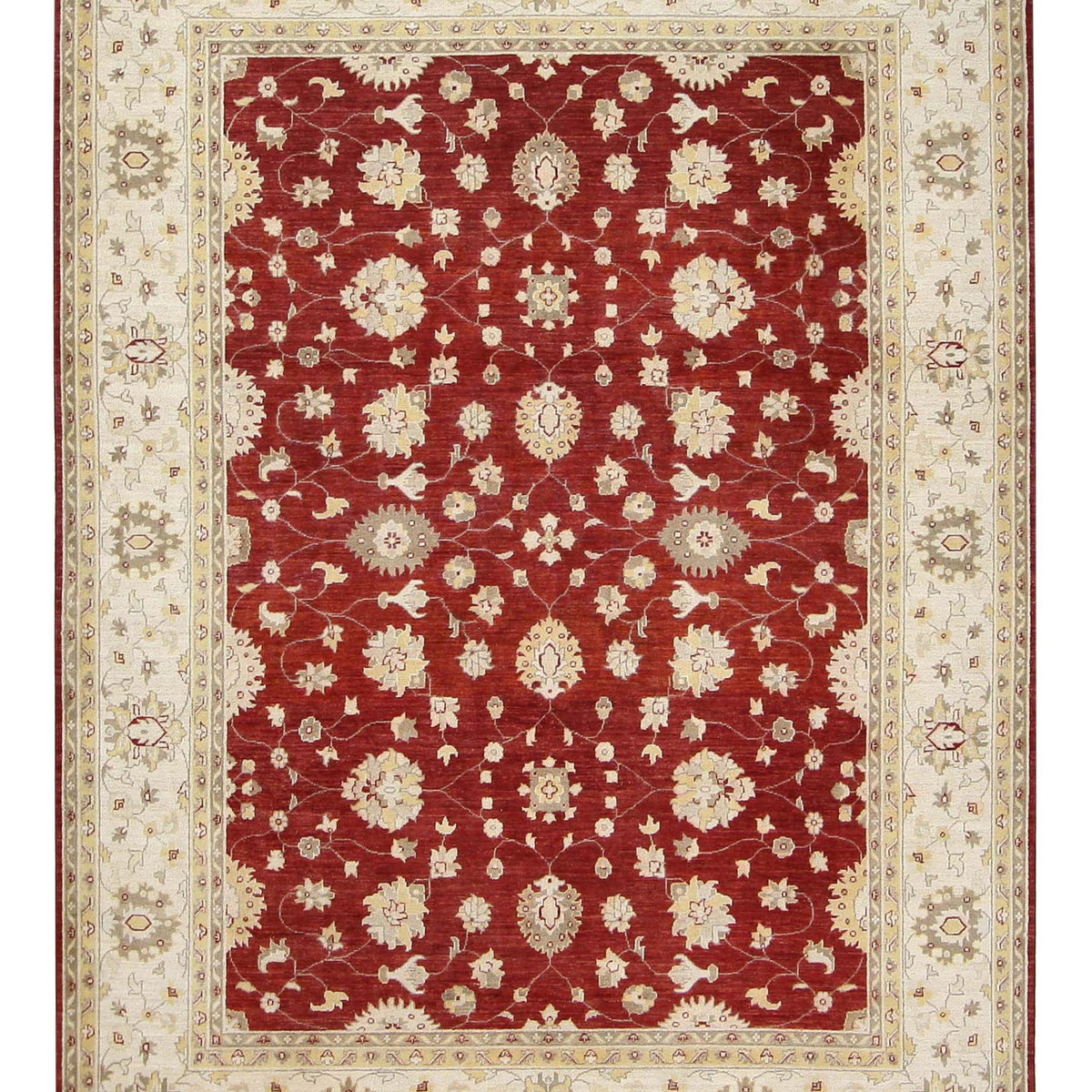 Pacific Ziegler  Red Ivory Transitional