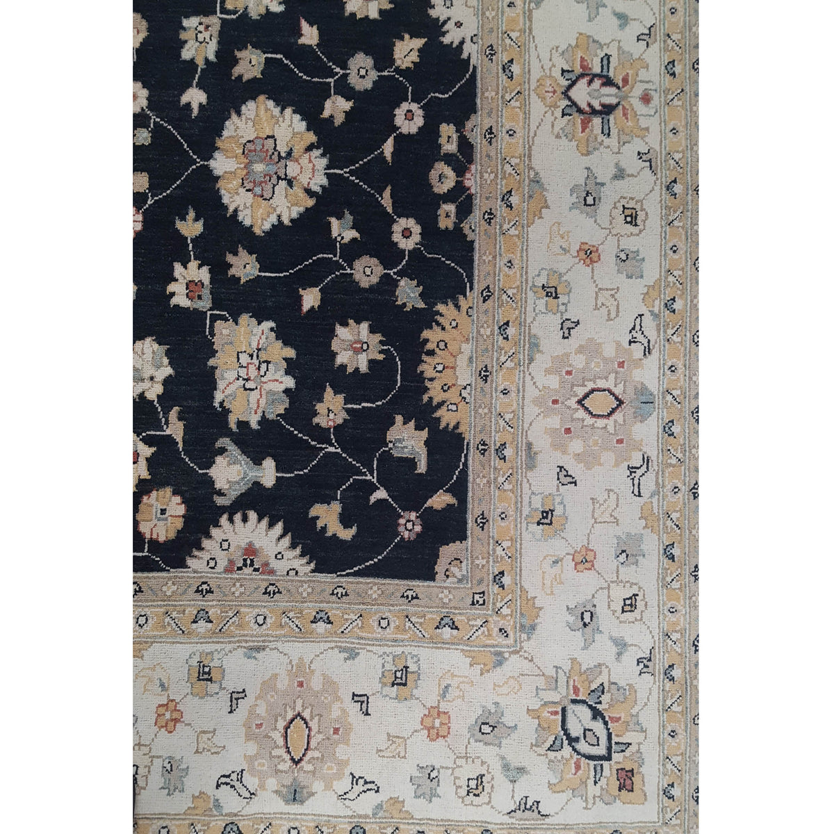 Pacific Ziegler 41885 Black Ivory Transitional Hand Knotted Rug