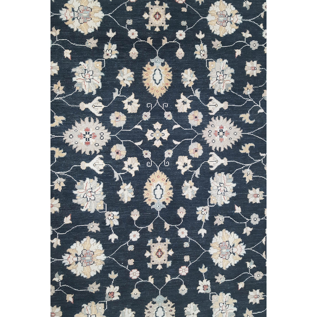 Pacific Ziegler 41885 Black Ivory Transitional Hand Knotted Rug
