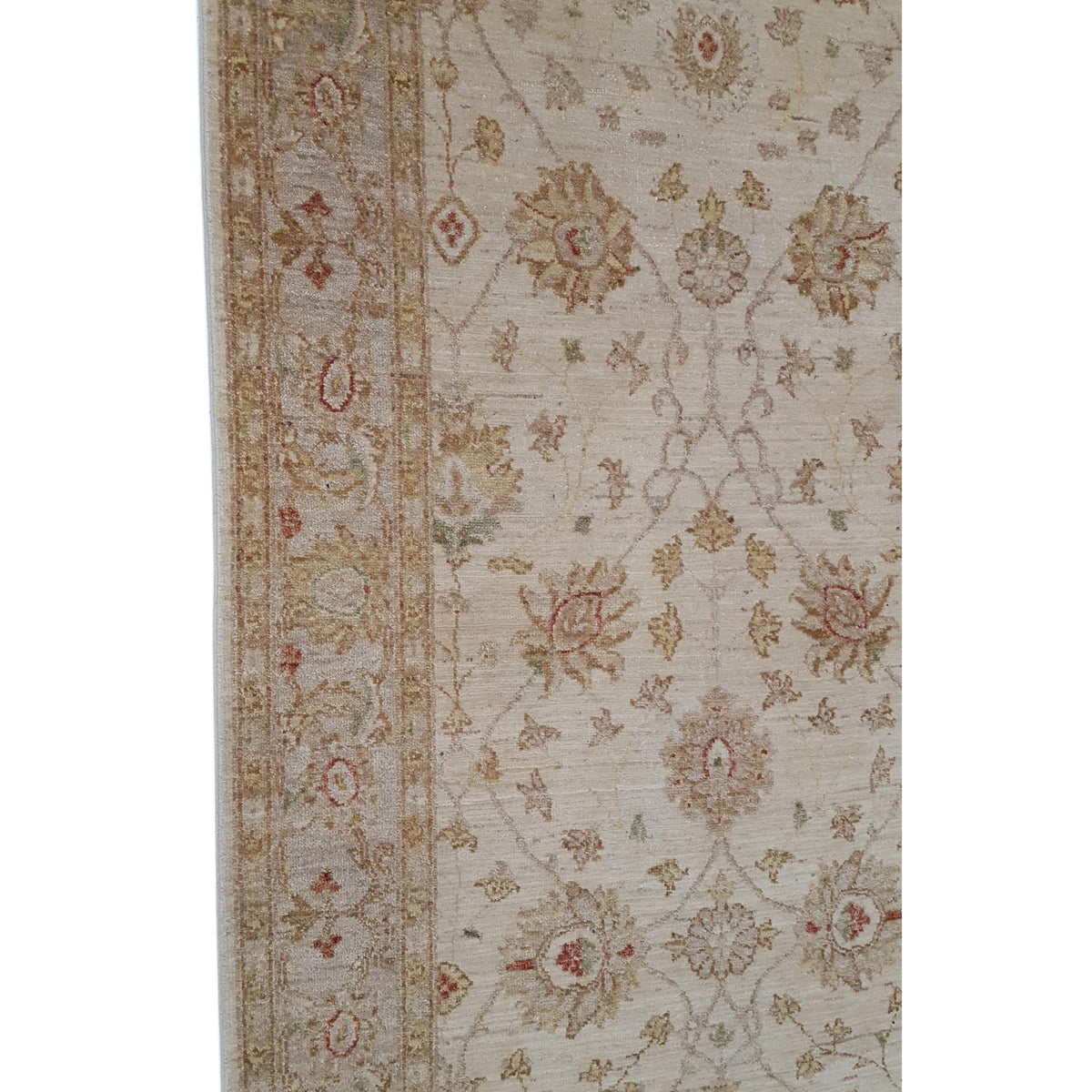 Pacific Ziegler 41901 Ivory Ivory Transitional Hand Knotted Rug