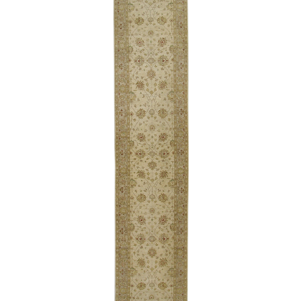 Pacific Ziegler  Ivory Ivory Transitional