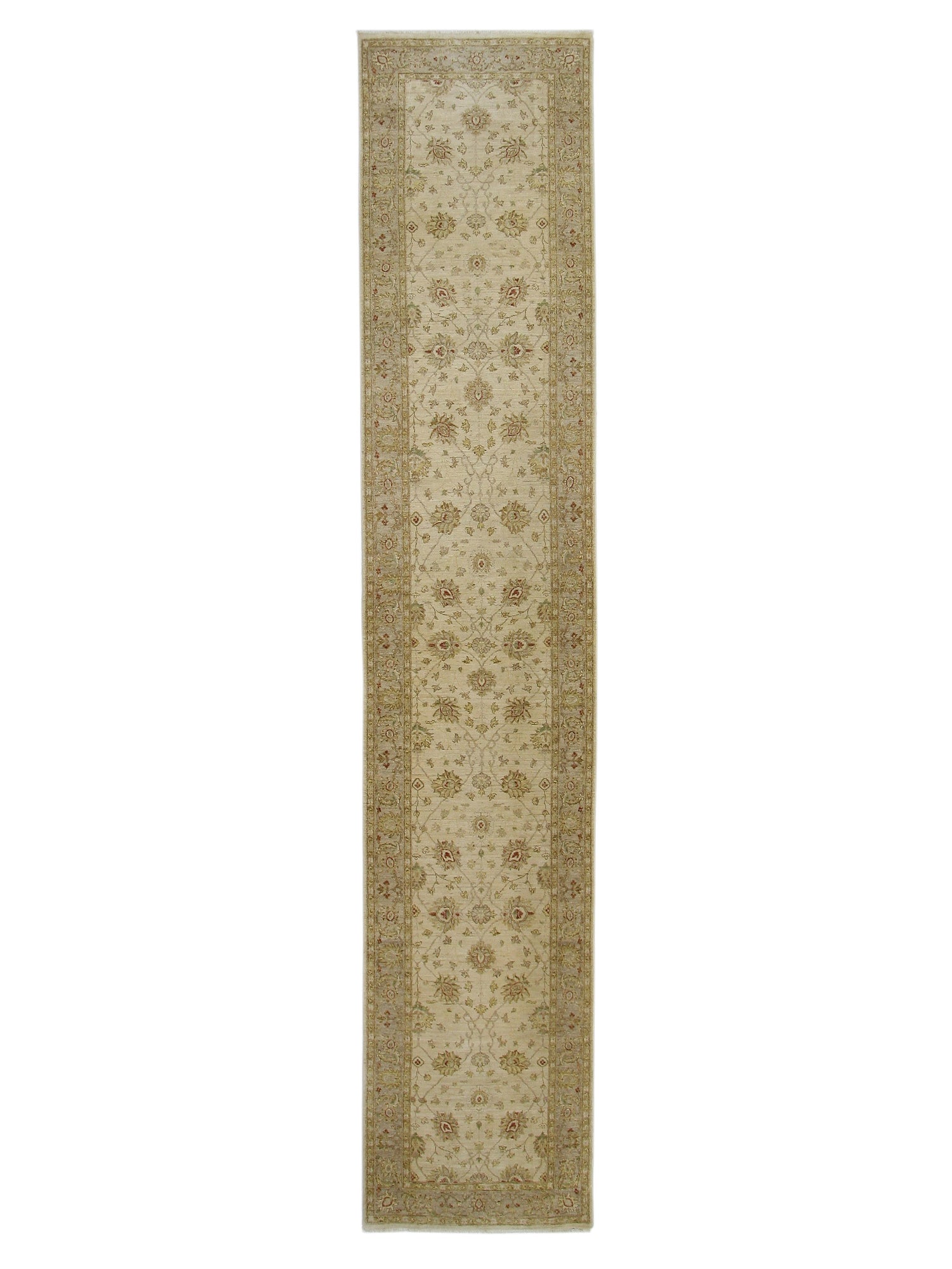 Pacific Ziegler  Ivory Ivory Transitional