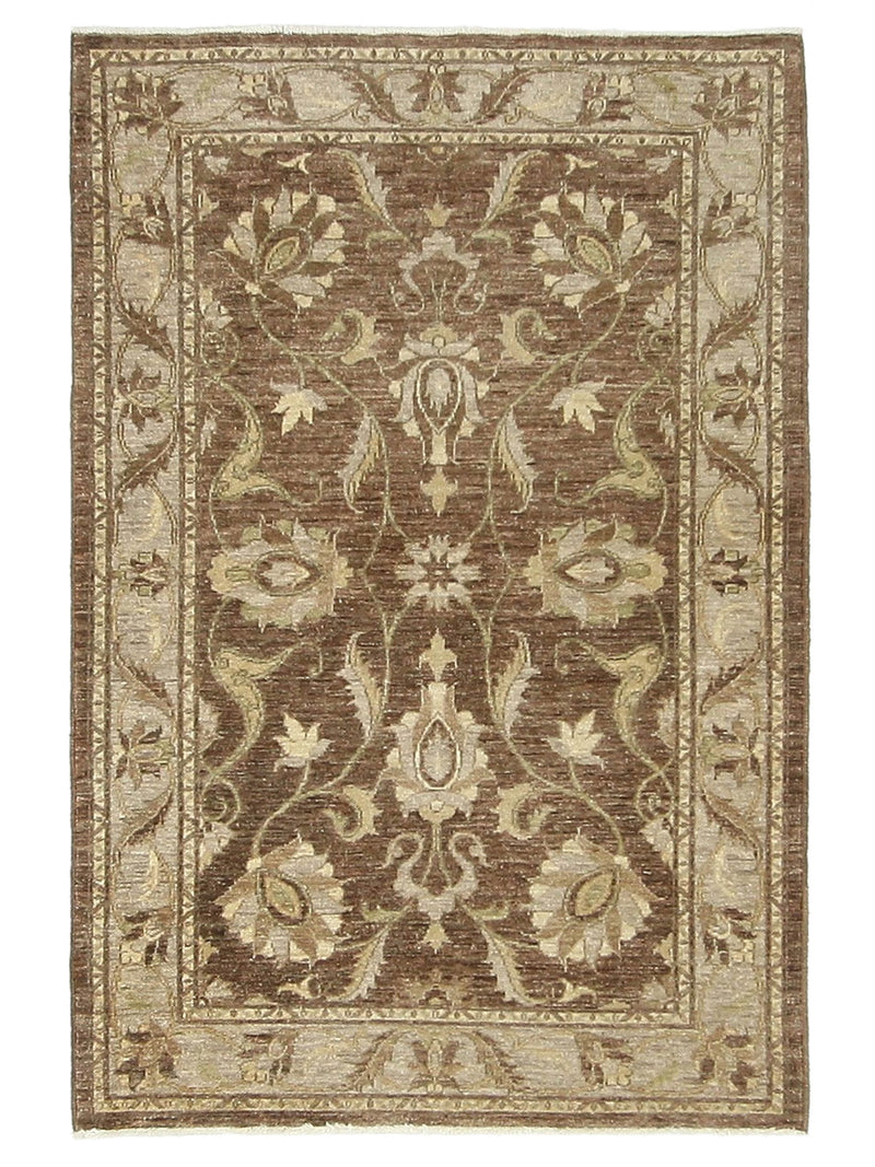 Pacific Ziegler  Brown Beige Transitional