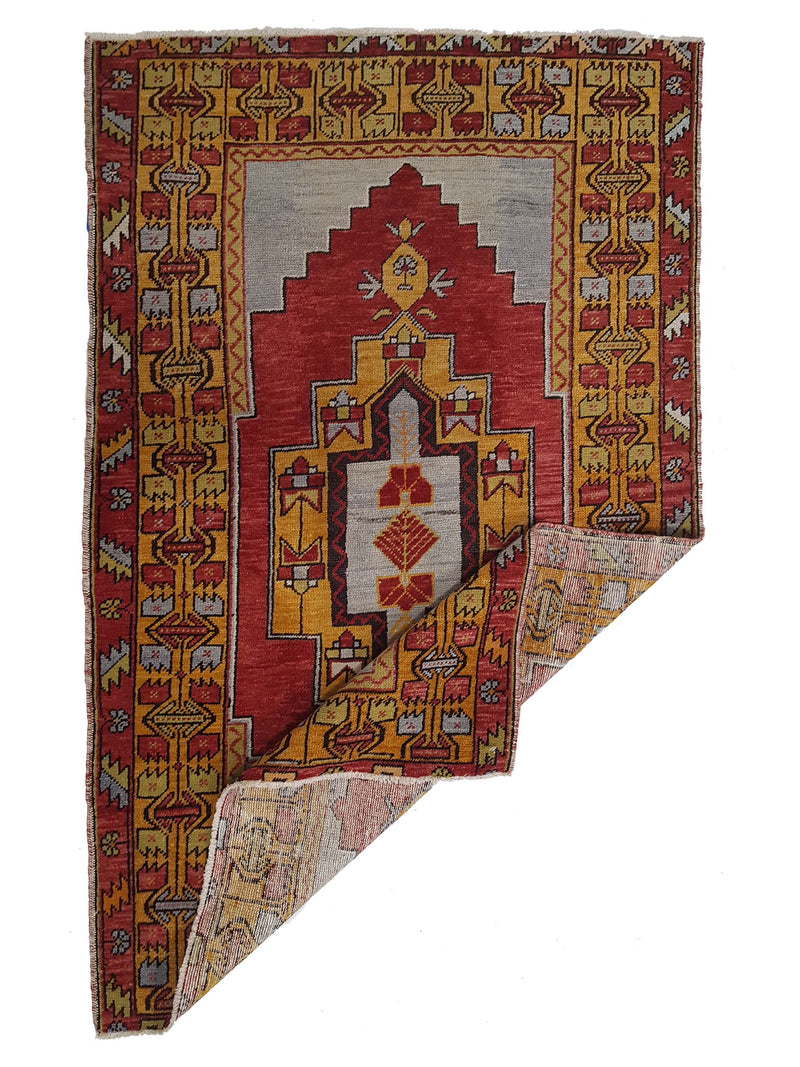 Pacific Anatolian 42039 Red Orange Traditional Hand Knotted Rug