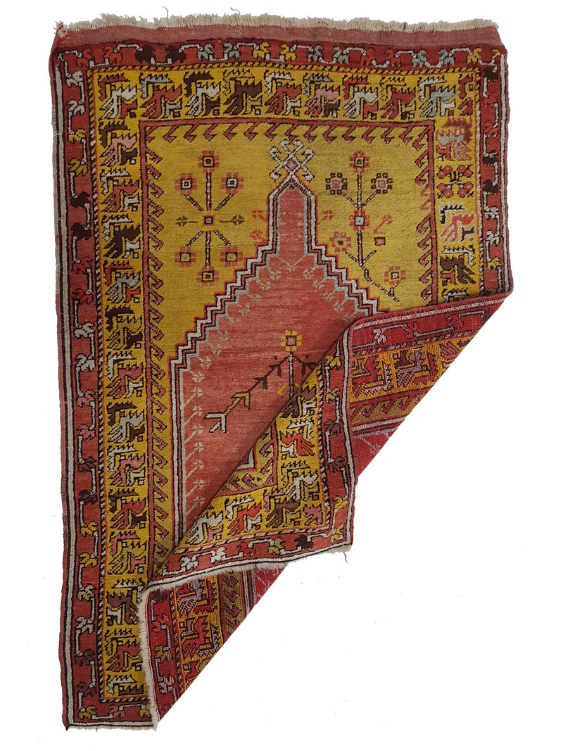 Pacific Anatolian 42040 Orange Gold Traditional Hand Knotted Rug