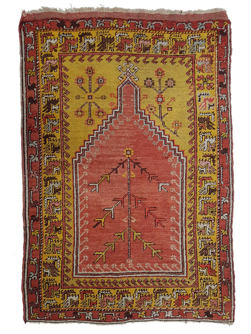 Pacific Anatolian  Orange Gold Traditional