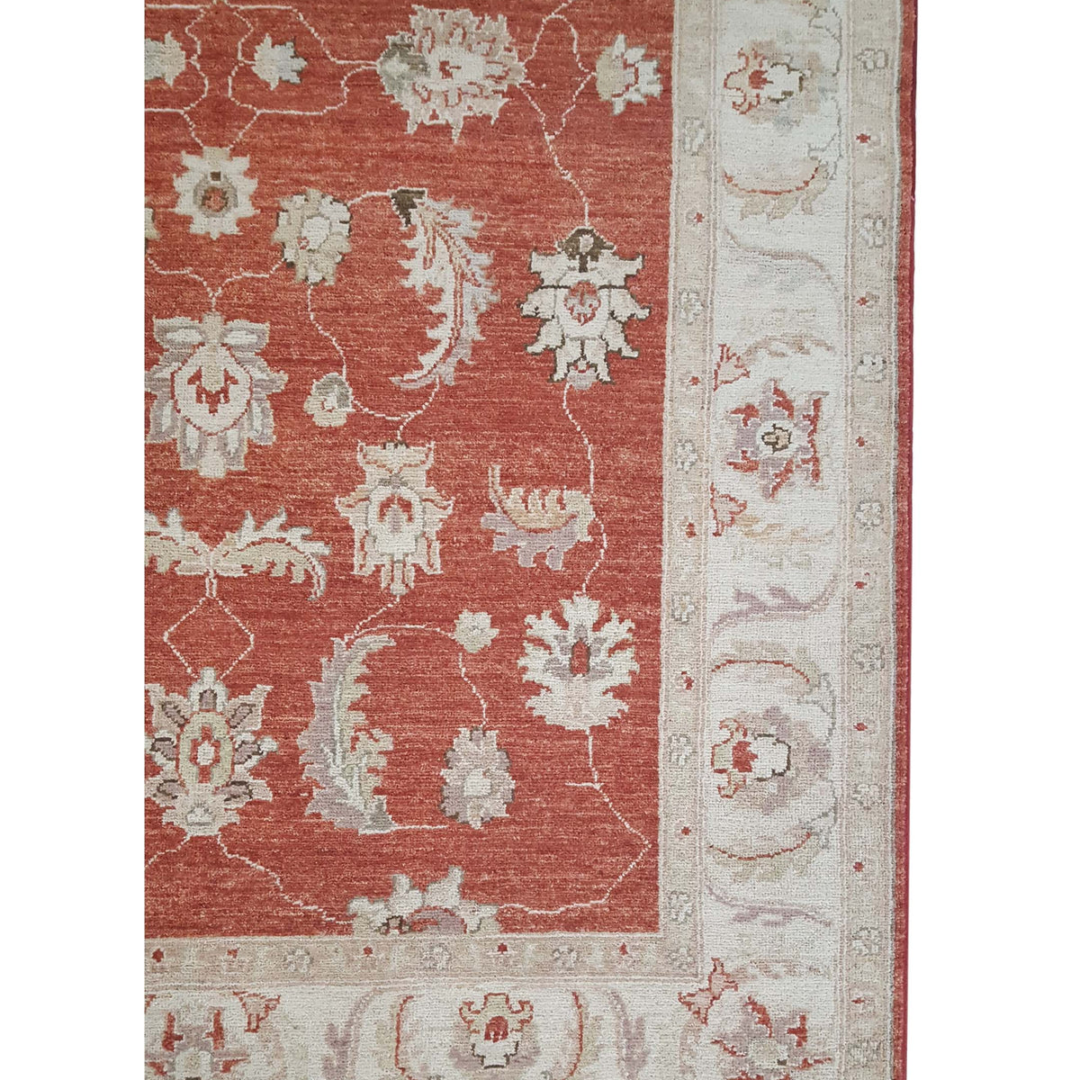 Pacific Ziegler 42126 Red Ivory Transitional Hand Knotted Rug